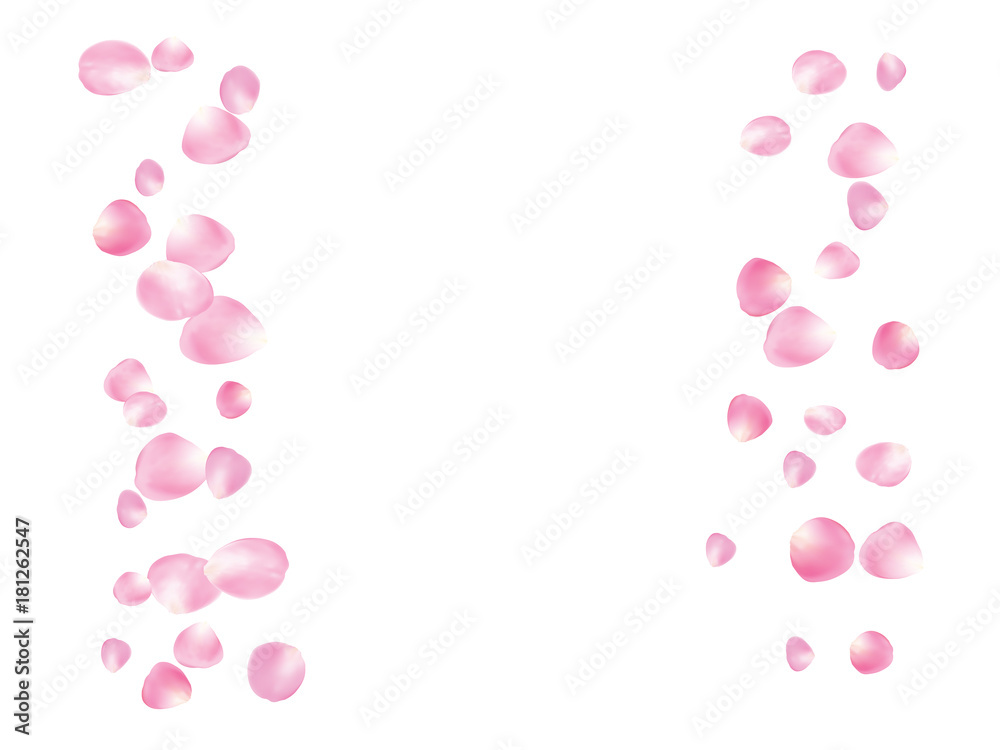Flying Rose Petals Confetti. Vector Realistic Blossom Illustration. Love, Wedding, Valentine Decoration, Japanese Sakura Ornament. Falling Down Rose Petals Confetti, Magic Showering Floral Background