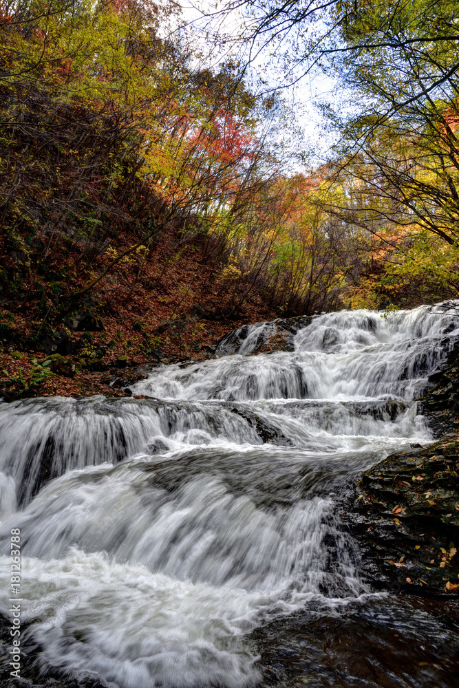 群馬県長野原町　秋の魚止めの滝と紅葉