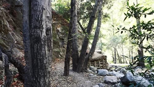 Woman Running in a Forest