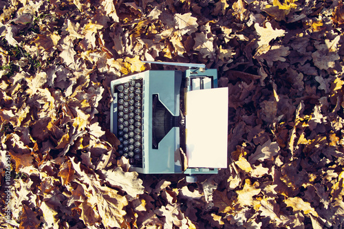 vintage typewriter among yellow-brown autumn leaves in the park photo