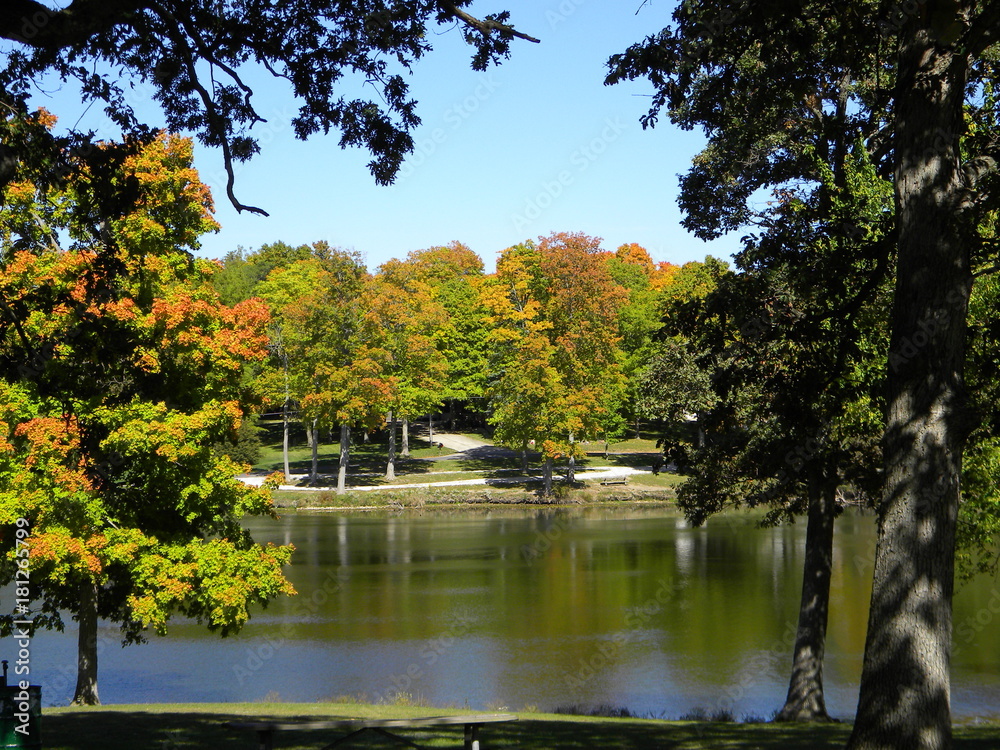 Fall Fall
