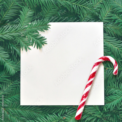 Creative background of pine branch with white paper card. New Year and Merry Christmas Concept.