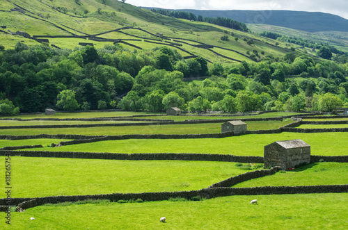 Lush Gunnerside Meadows photo