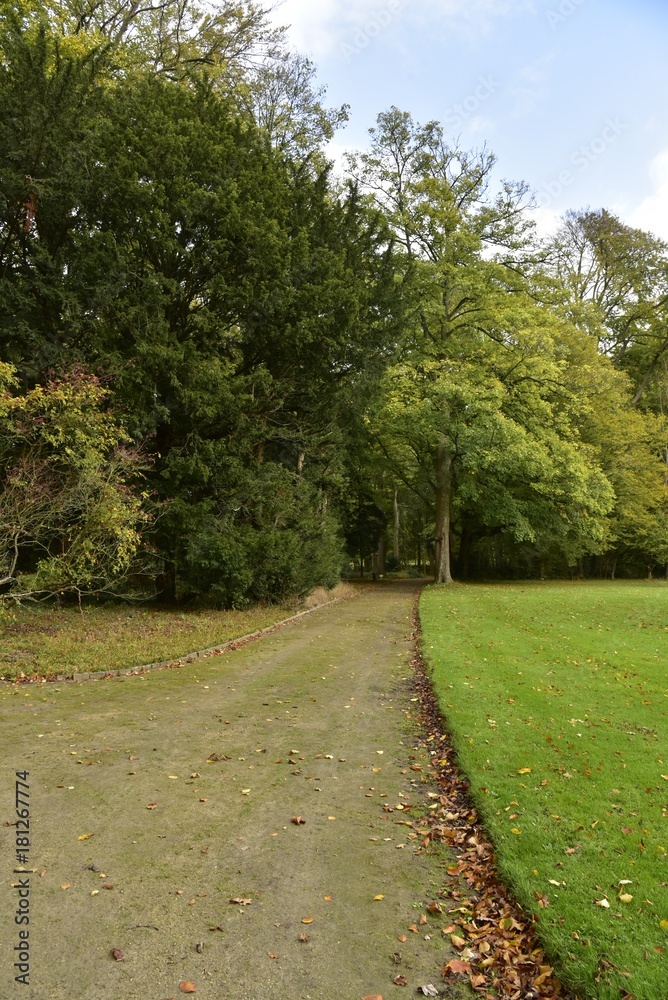 Chemin le long des arbres de collection au Jardin Botanique National de Belgique à Meise
