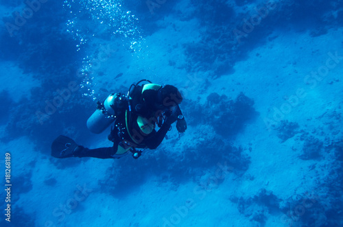 One diver under water against the background of the bottom