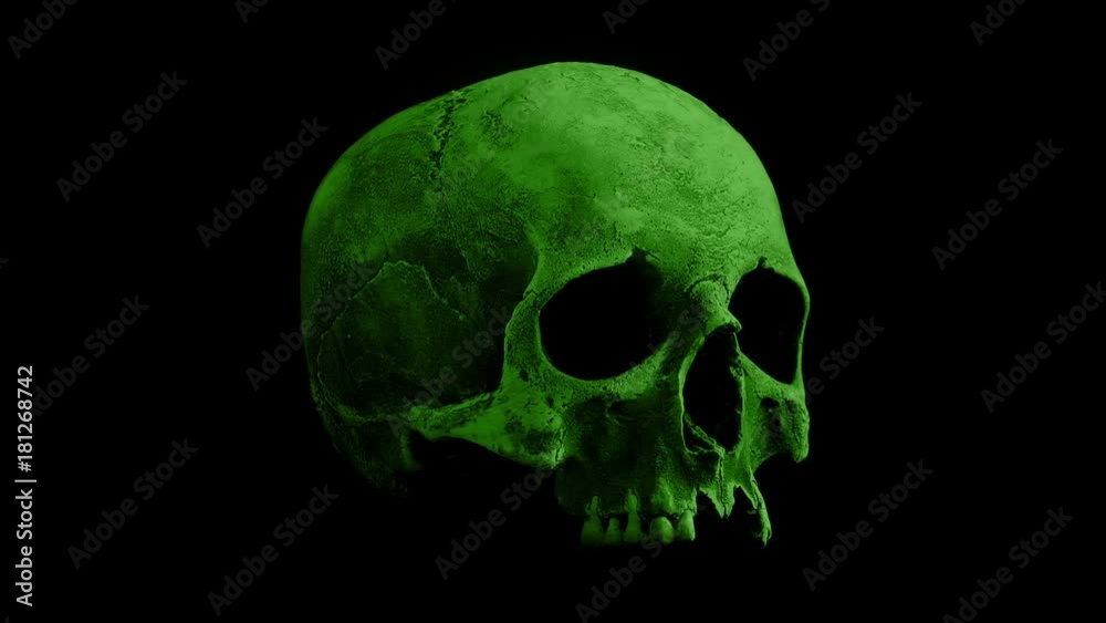 Green Skull Rotating Loop Green Skull Rotating Loop