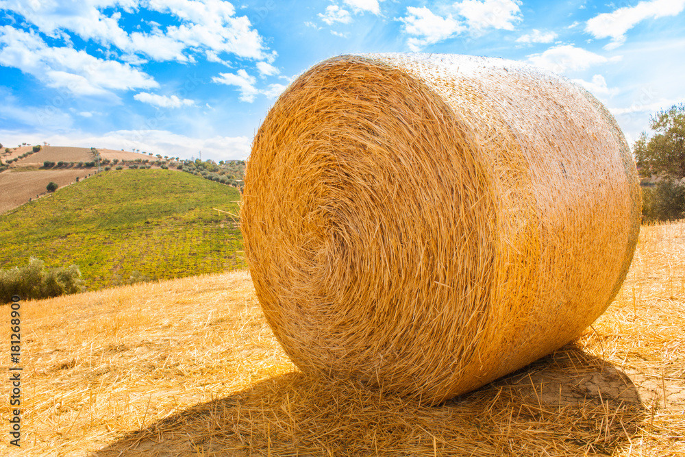 Italy Landscape View with Clouds on Blue sky, Italian Fields with Hay Bales Italy Landscape View with Clouds on Blue sky, Italian Fields with Hay Bales