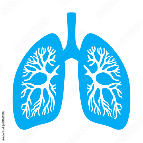 Lungs diaphragm vector icon