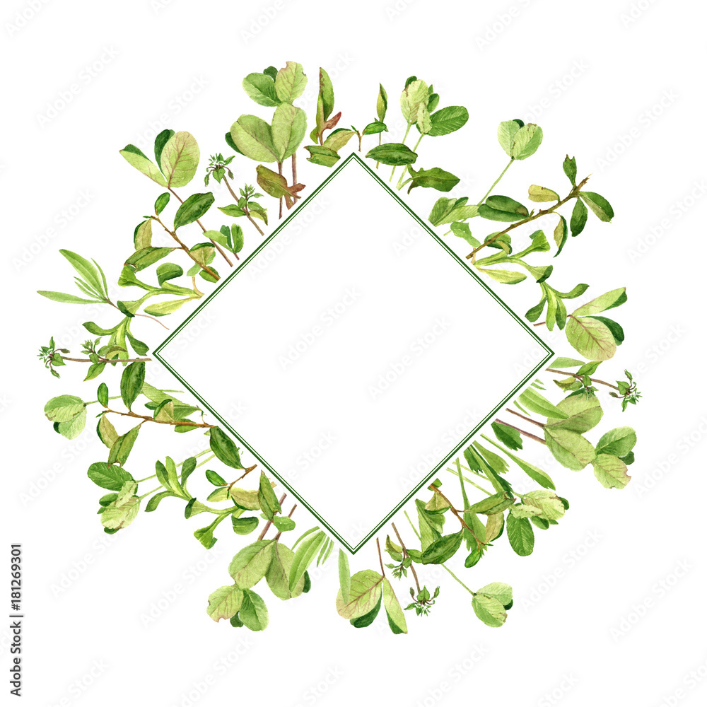 Fototapeta premium template with drawing clover leaves