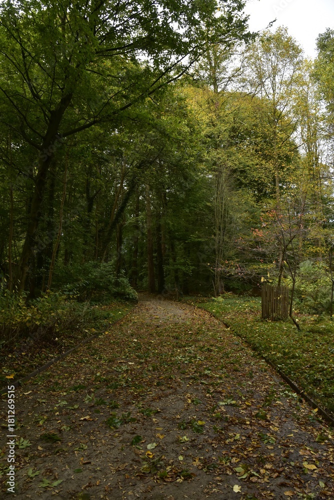Chemin ombragé sous les feuillage des arbres divers au Jardin Botanique National de Belgique à Meise Chemin ombragé sous les feuillage des arbres divers au Jardin Botanique National de Belgique à Meise