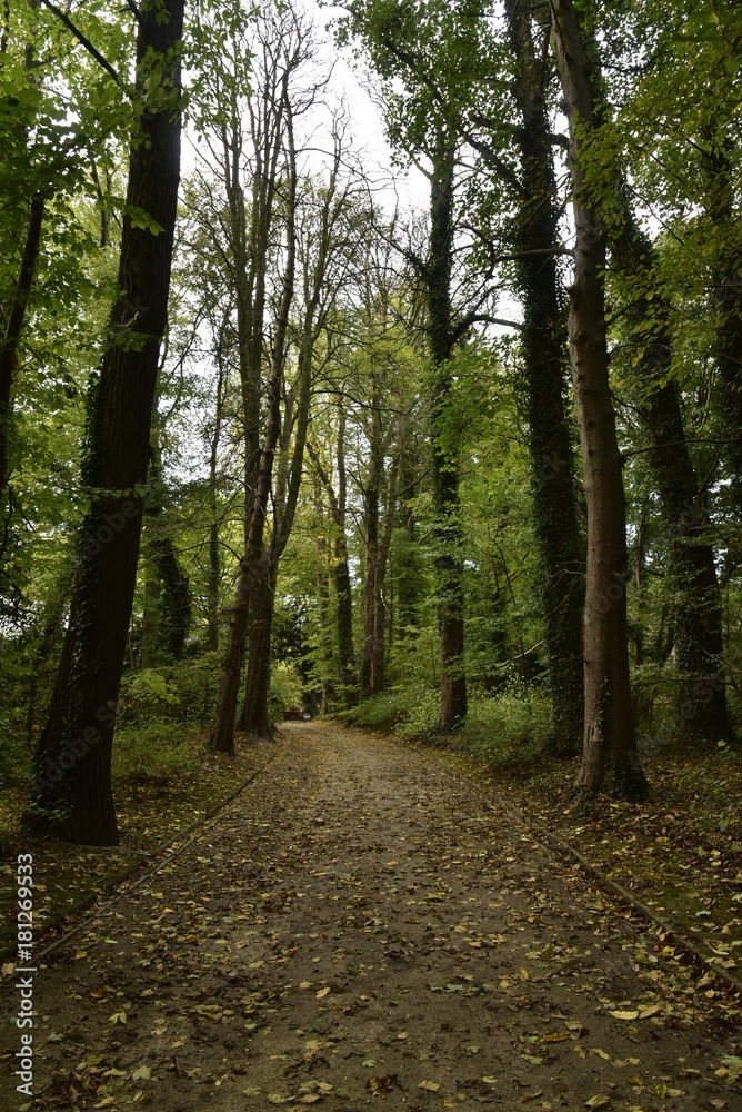 Chemin ombragé sous les feuillage des arbres divers au Jardin Botanique National de Belgique à Meise Chemin ombragé sous les feuillage des arbres divers au Jardin Botanique National de Belgique à Meise