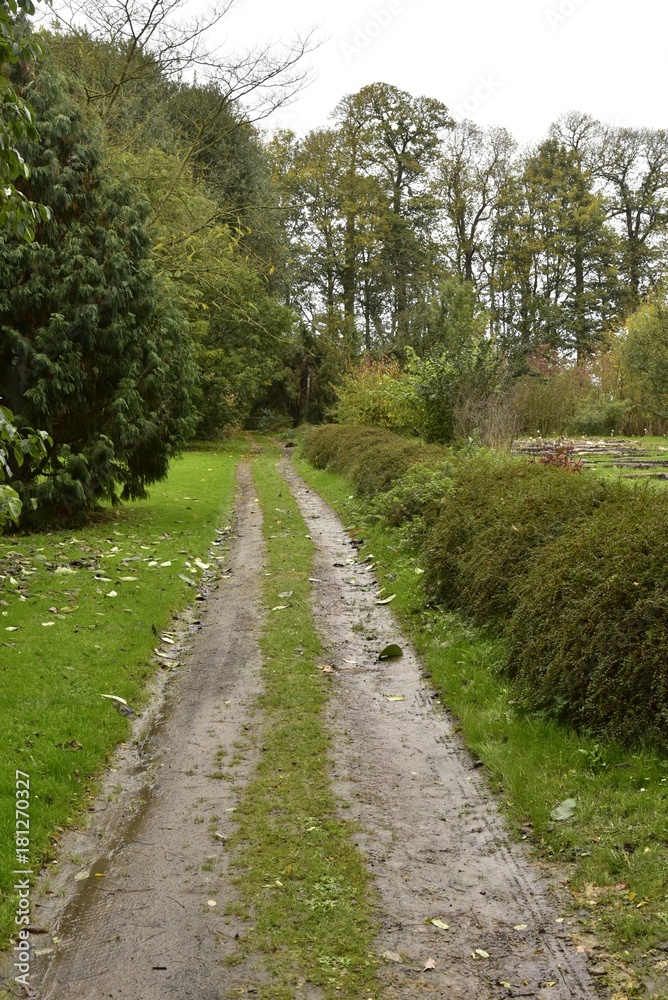 Chemin assez boueux longeant le jardin des potirons ,au Jardin Botanique National de Belgique à Meise