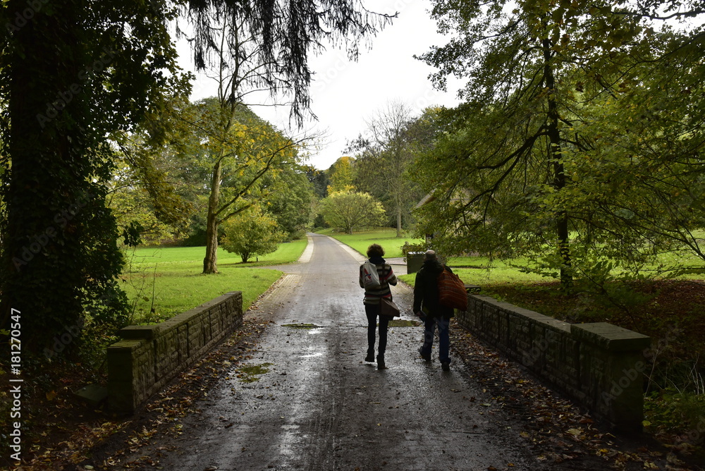 Promenade sur un chemin humide vers l'une des pelouses du Jardin Botanique National de Belgique à Meise Promenade sur un chemin humide vers l'une des pelouses du Jardin Botanique National de Belgique à Meise