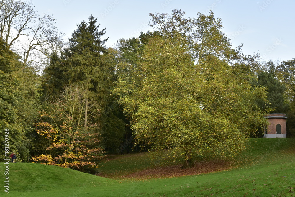 Les nombreuses variétés d'arbres en automne au Jardin Botanique National de Belgique à Meise