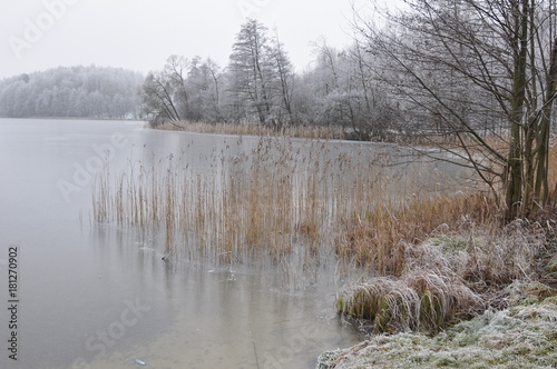 Wallpaper Mural Dąbrówno Torontodigital.ca