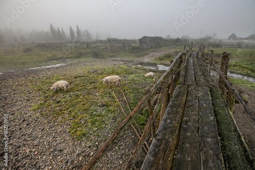 old wooden bridge in the village