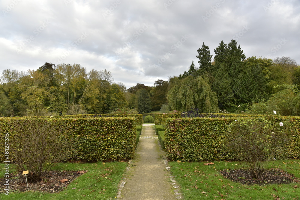 Passage étroit entre les haies au Jardin Botanique National de Belgique à Meise Passage étroit entre les haies au Jardin Botanique National de Belgique à Meise