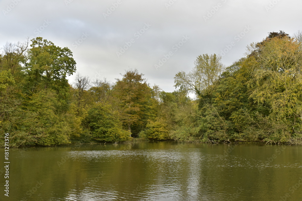 La nature sauvage en automne sous un ciel gris à l'étang principal du Jardin Botanique National de Belgique à Meise