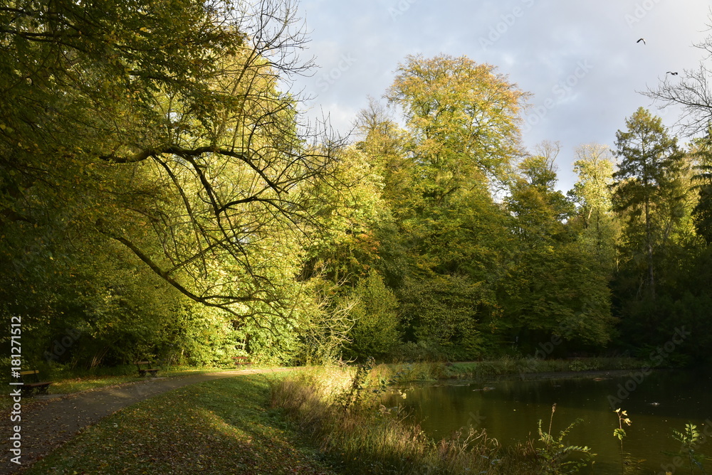 Rayons du soleil couchant sur les feuillage des arbres le long de l'étang principal du Jardin Botanique National de Belgique à Meise 