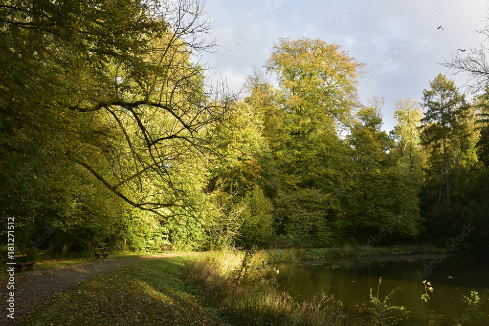 Obraz premium Rayons du soleil couchant sur les feuillage des arbres le long de l'étang principal du Jardin Botanique National de Belgique à Meise 