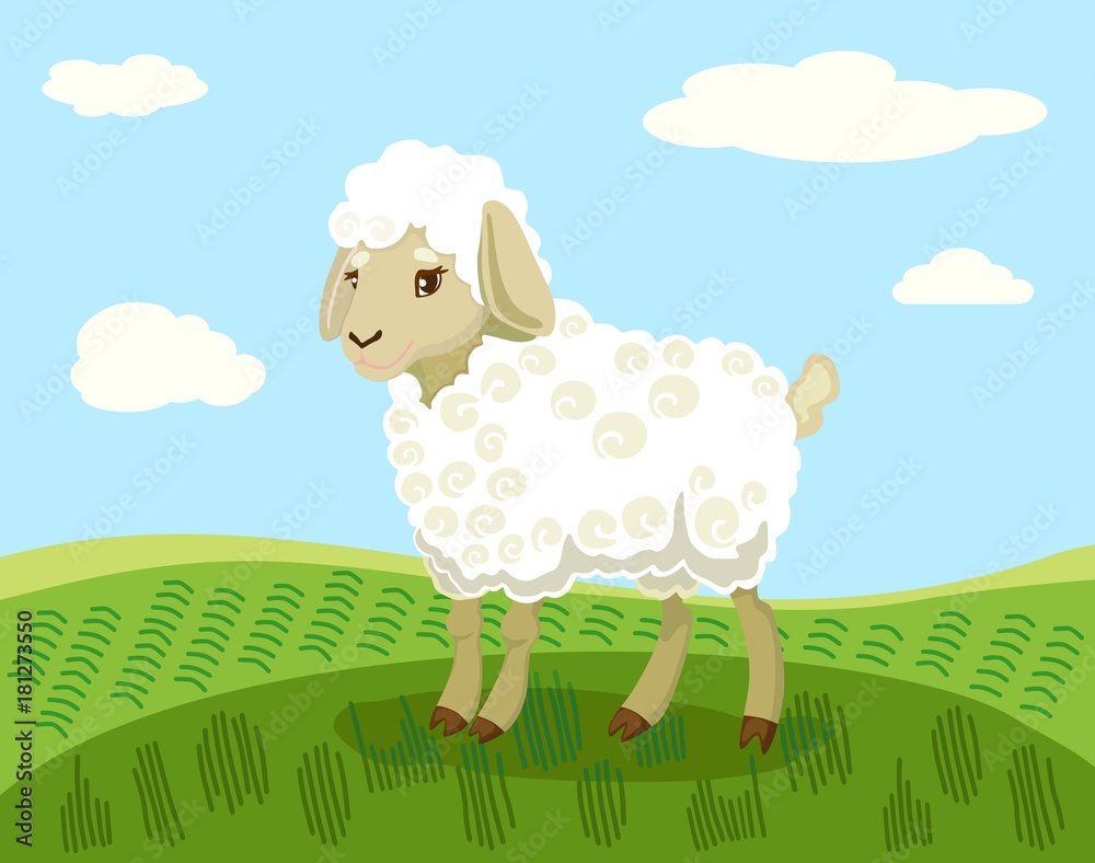 Painted white lamb on a green field. Vector illustration. Painted white lamb on a green field. Vector illustration.