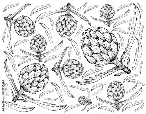 Hand Drawn of Fresh Artichoke Plants Background