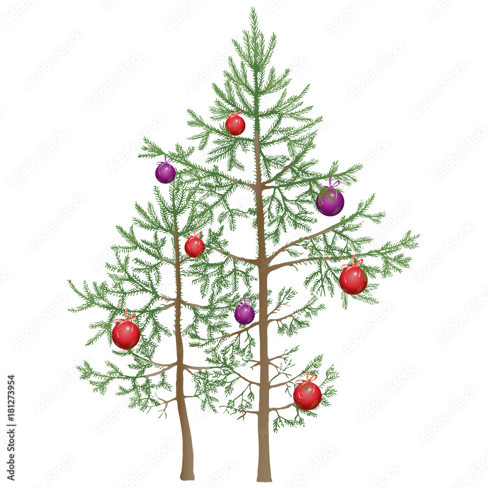 Christmas tree. Realistic small young fir trees decorated with red and purple balls. Vector illustration in white background.