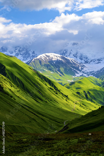 Green fields and hills leading to snow-covered mountains. White clouds are visible behind the lighted mountain top. Summer in Caucasian Georgia. Vertical orientation photo.