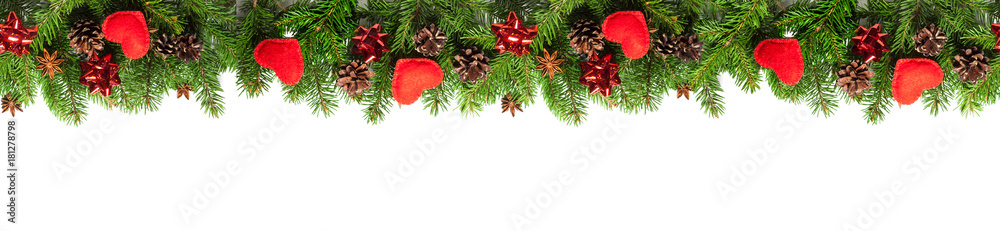 Evergreen branches on white Evergreen branches on white