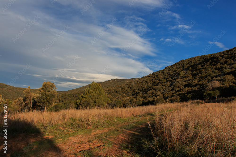 Obraz premium The colors of Autumn appear on the mountain, corollarizing it