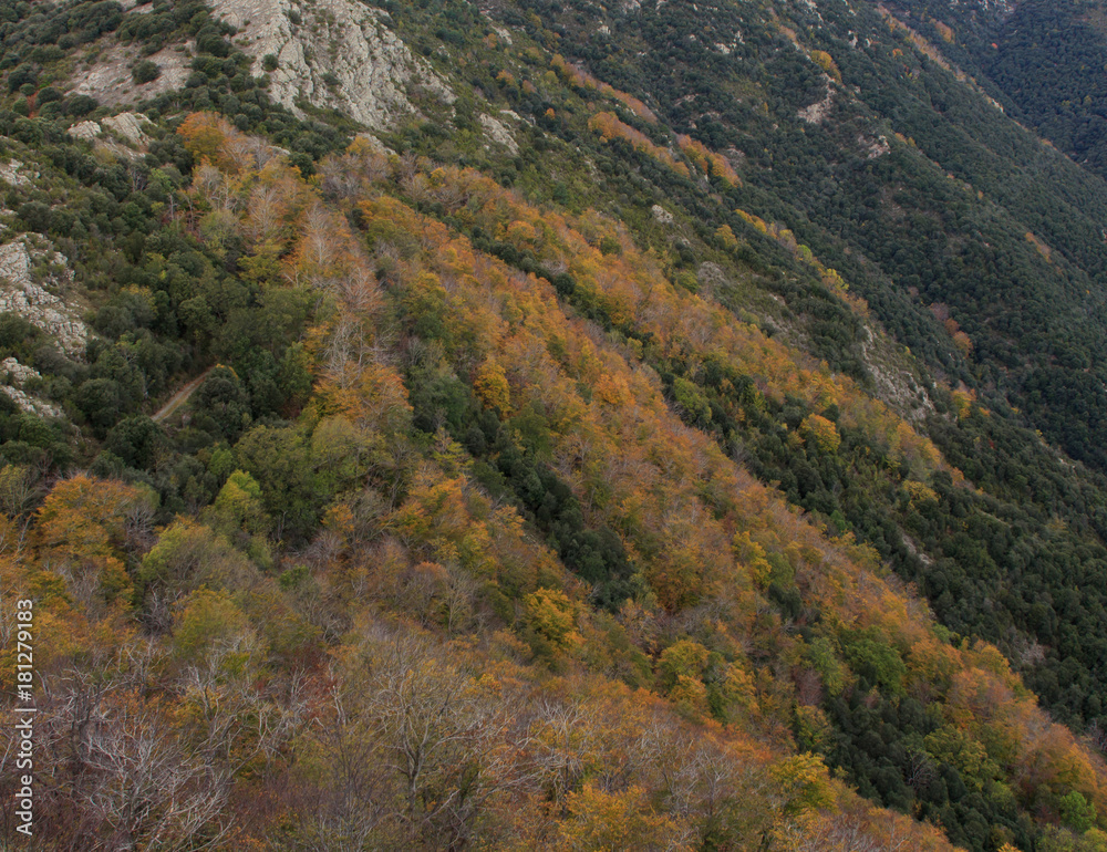The colors of Autumn appear on the mountain, corollarizing it