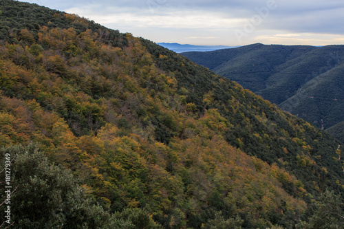 The colors of Autumn appear on the mountain, corollarizing it