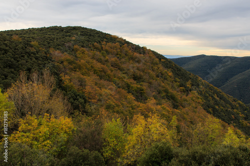 The colors of Autumn appear on the mountain, corollarizing it © Rafa