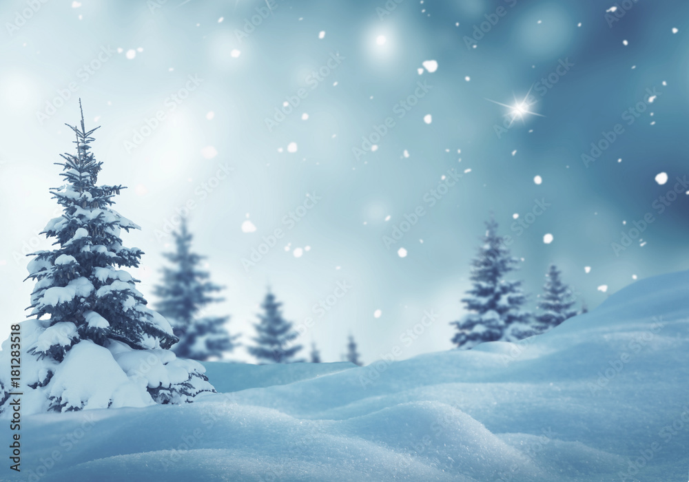 Christmas background with fir trees and blurred bokeh.Winter landscape Christmas background with fir trees and blurred bokeh.Winter landscape