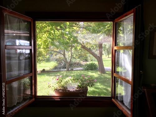 Vistas al jardín desde la ventana