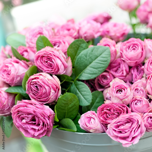 Pink roses flowers
