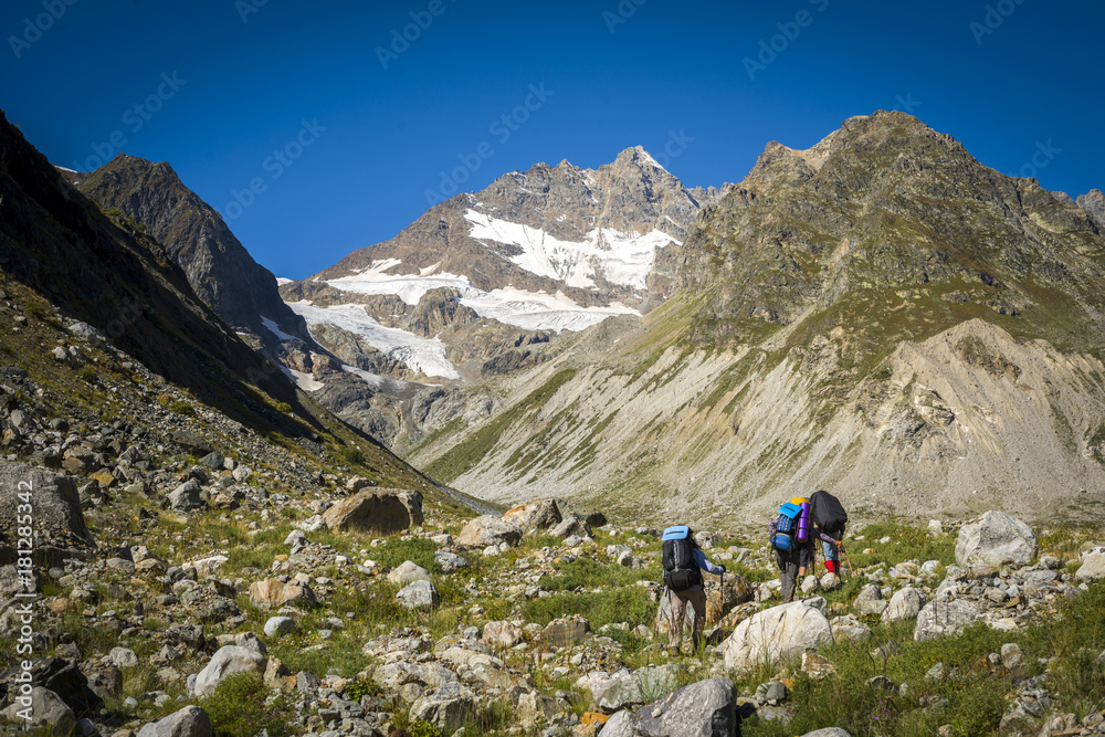 Group of Hikers male and female walking on Mountain Trail. carrying backpacks using trekking sticks rear. mixed grassy and rocky terrain. View People are unrecognizable  behind