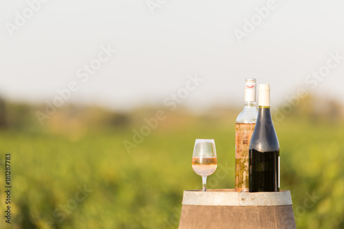Bottles of wine on cask in countryside