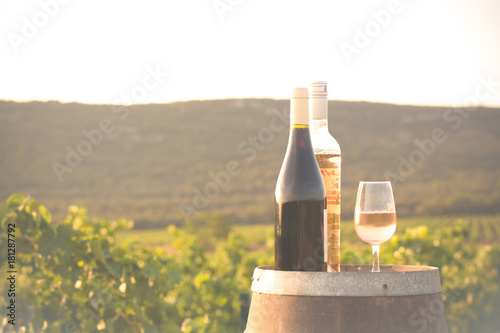 Bottles of wine on cask in countryside