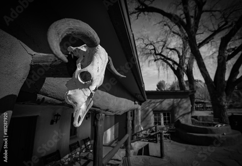 New Mexico Ranch with Animal Skull Decor