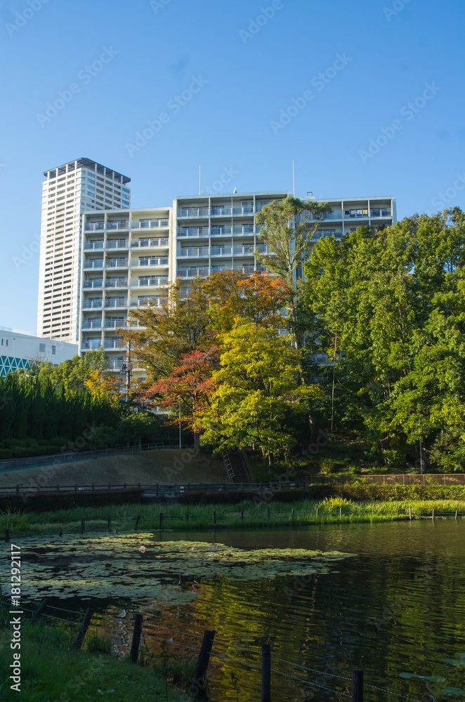 大阪・公園と街並み 大阪・公園と街並み