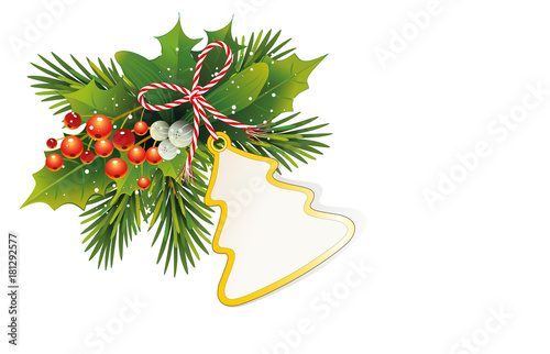 Weihnachtskarte mit Tannenzweige  Ilex und Misteln Beeren   und Tannenbaum Karte zum selbst beschriften   Geschenkanh  nger und Schleife    Vektor Illustration isoliert auf wei  em Hintergrund  