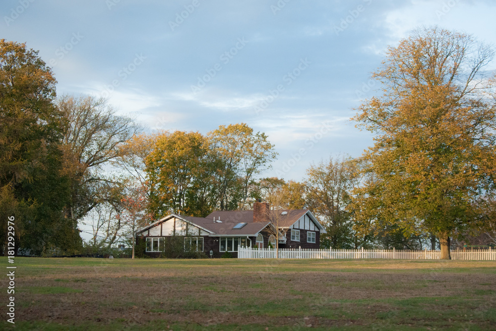 beautiful sunny country house