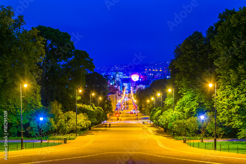 Night view of an alley leading to the Royal Palace in Oslo, the capital of Norway photo