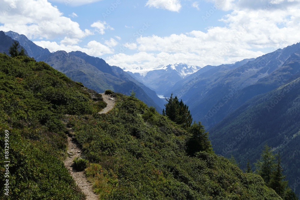 Wanderweg mit Aussicht in den Alpen
