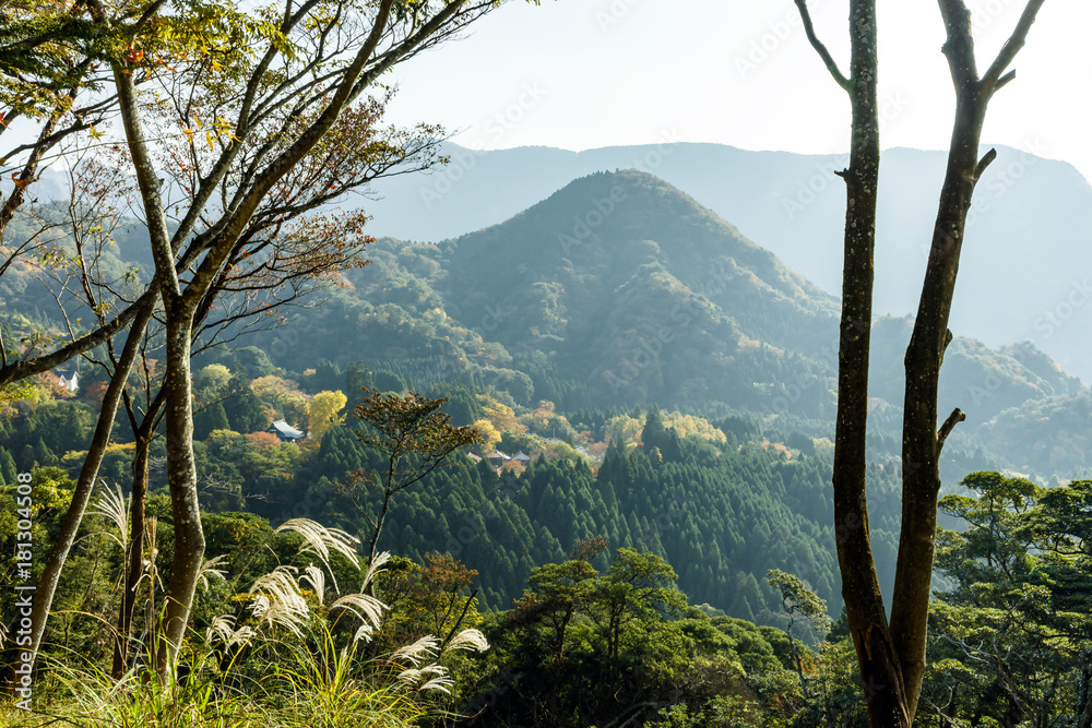 Obraz premium 英彦山の紅葉