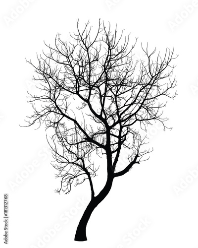 Tree in winter : Vector