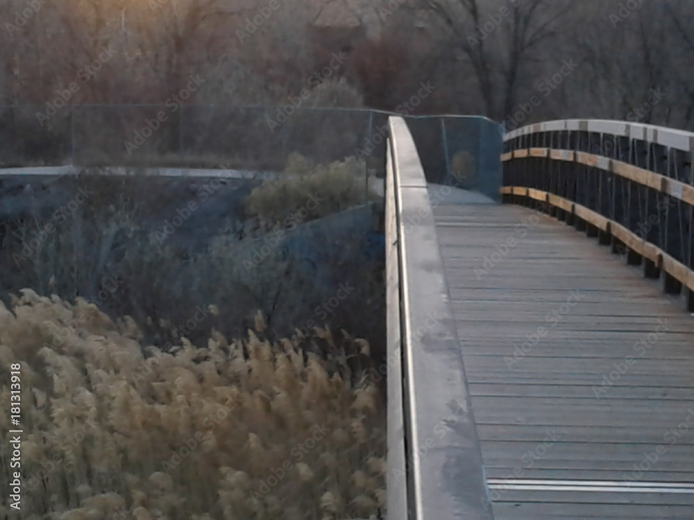 Naklejka premium Photos