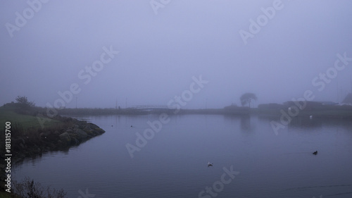 Autumn morning in Malm   Sk  ne Sweden