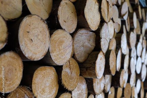 Lots of lumber